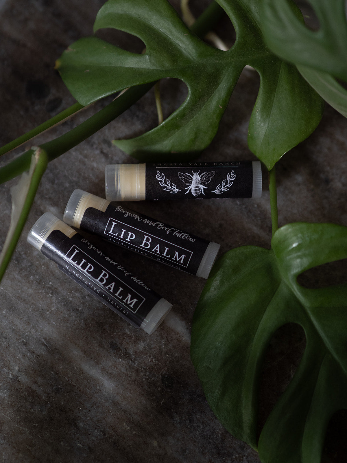 Tallow and Beeswax Lip Balm